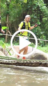 BIB:  <button type="button" onclick="openModal(26800955)" class="btn btn-primary btn-sm float-right" data-toggle="modal" data-target=".modal-high-quality">
                <i class="fa fa-download"></i> Download
                </button>